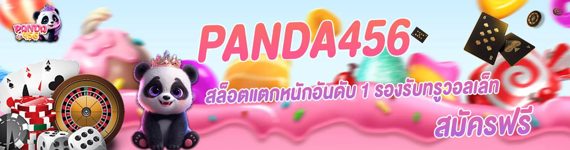 computer cover-panda456a